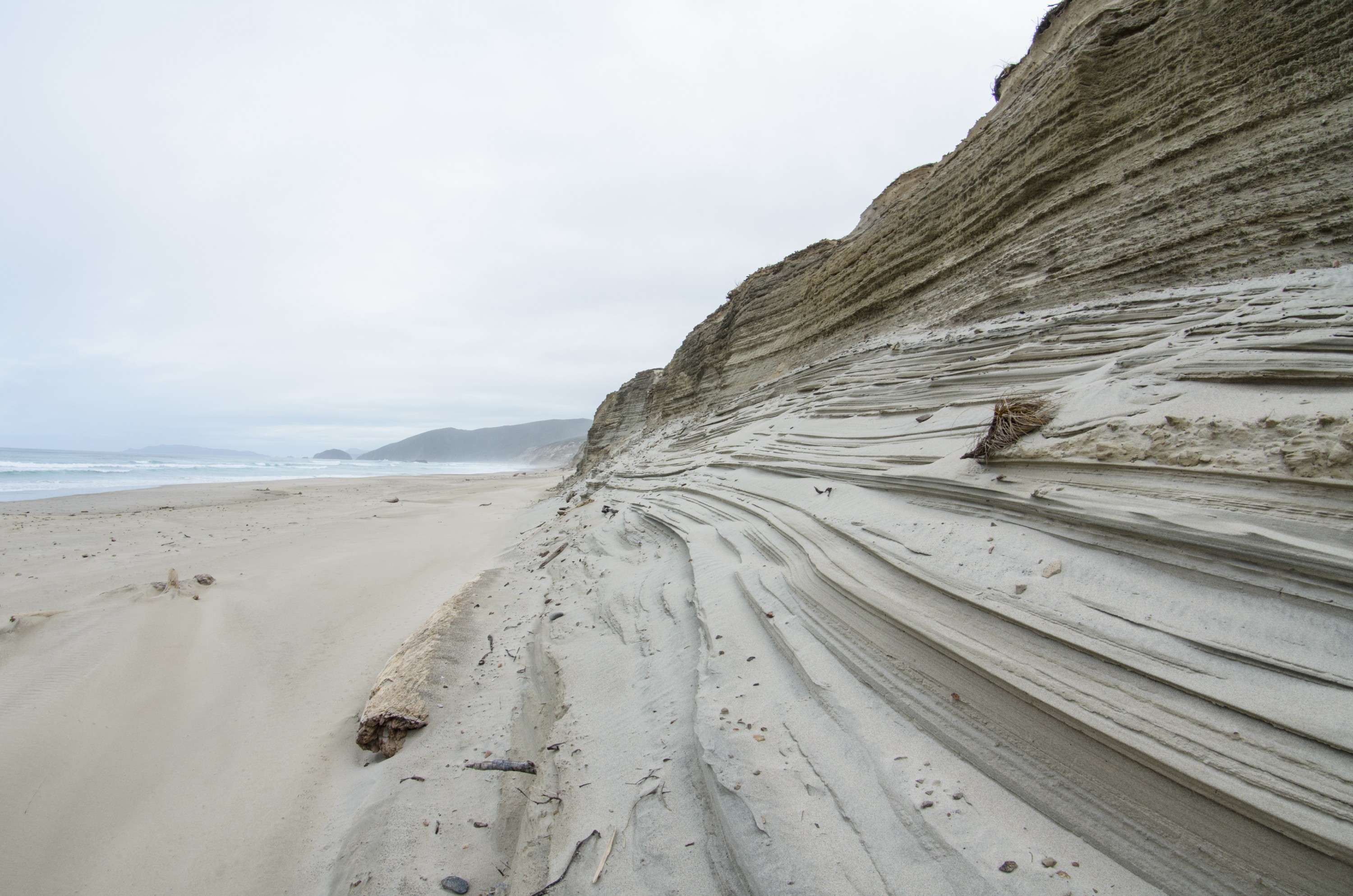DSC_2023 – Adventure, Bay, Crispin, Island, March 2017, Mason, Mason Bay, National Park, New, New Zealand, Rakiura, South, Stewart, Zealand